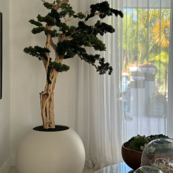 Trilhando bonsai em globo bege acetinado de 30 “